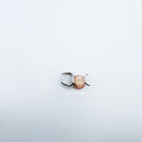 Mainteneur d'espace avec bague anatomique et dent prothétique